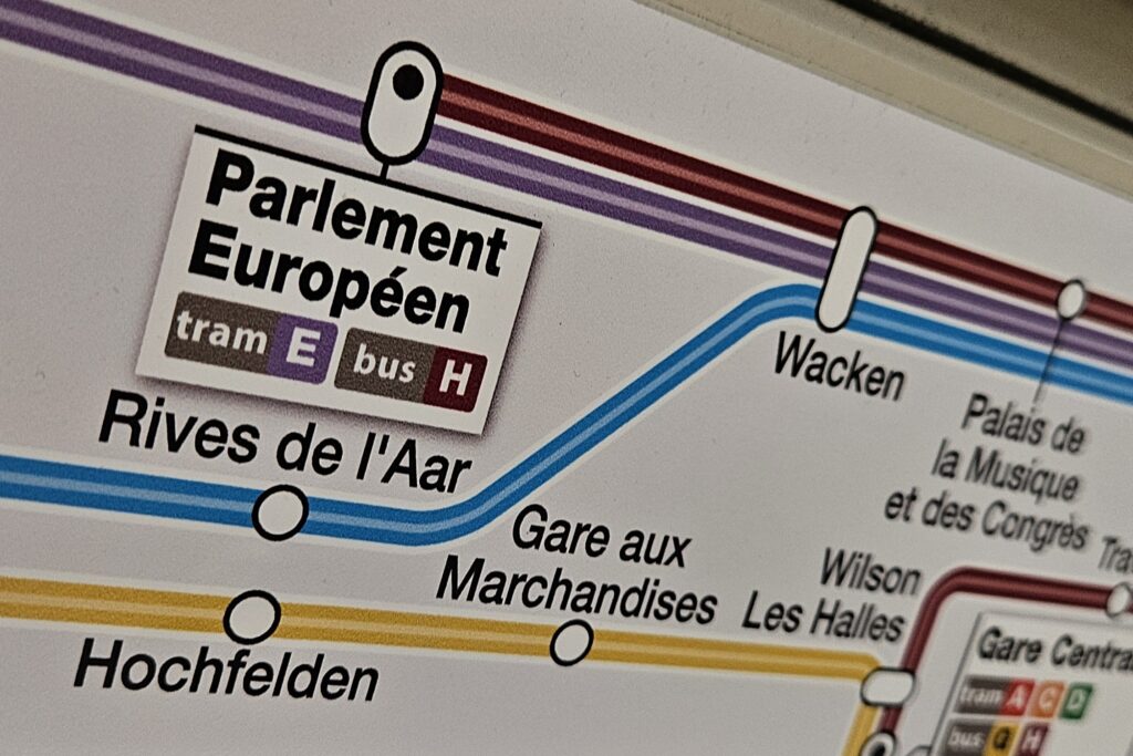 Auf dem Weg ins Europäische Parlament